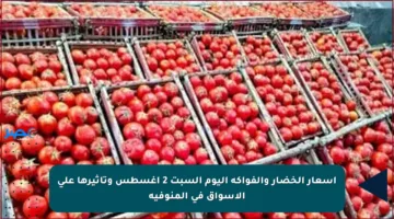 أسعار الخضار والفواكه اليوم السبت 2 أغسطس وتأثيرها على الأسواق في المنوفية